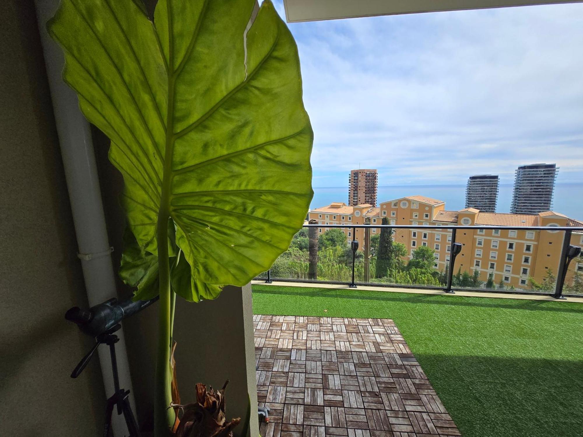 Monaco View, Pool, Garage, 100 M2 Terrace Apartment Beausoleil Bagian luar foto